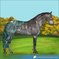 Horse Color:Gray Platinum White Spotted Liver Red Dun Ice 