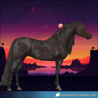 Horse Color:Midnight Bay Ice Dun 