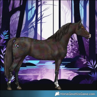 Horse Color:Midnight Bay Ice Dun
