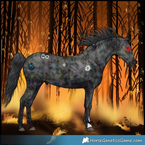 Horse Color:Midnight Black Ice Rabicano 