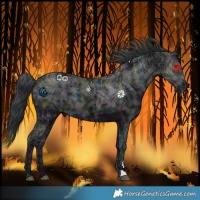 Horse Color:Midnight Black Ice Rabicano