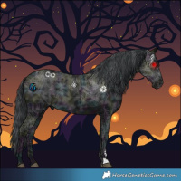 Horse Color:Midnight Black Ice Rabicano 