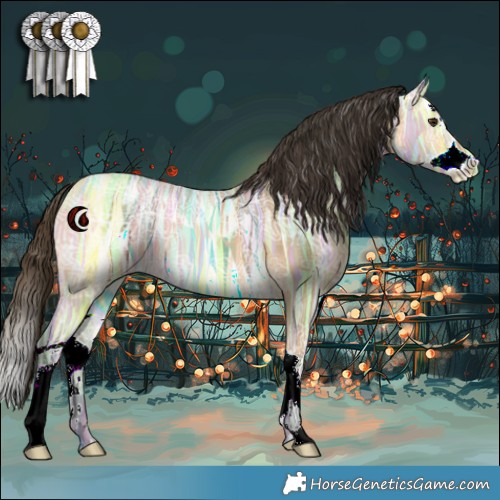 Horse Color:Buckskin Ice Dun Splash 