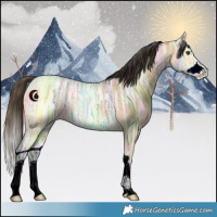 Horse Color:Buckskin Ice Dun Splash