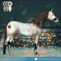 Horse Color:Buckskin Ice Dun Splash 