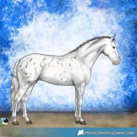 Horse Color:White Spotted Liver Chestnut Mushroom Appaloosa 
