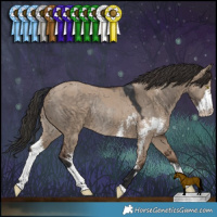 Horse Color:Brown Dun Rabicano and Liver Red Dun Sabino