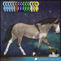 Horse Color:Brown Dun Rabicano and Liver Red Dun Sabino