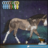 Horse Color:Brown Dun Rabicano  and Liver Red Dun Sabino 