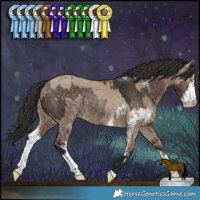 Horse Color:Brown Dun Rabicano and Liver Red Dun Sabino