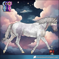 Horse Color:Watercolor White Spotted Cremello Dun Tobiano Rabicano and Watercolor White Spotted Chocolate Palomino Tobiano Rabicano