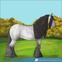Horse Color:Smoky Blue Roan