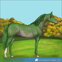 Horse Color:Watercolor Brown 