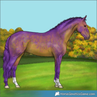 Horse Color:Watercolor Brown 