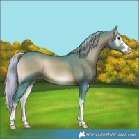 Horse Color:Watercolor Silver Brown Onyx 