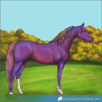 Horse Color:Watercolor Liver Chestnut 