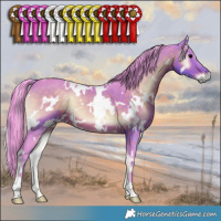 Horse Color:Watercolor White Spotted Brown Onyx