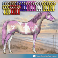 Horse Color:Watercolor White Spotted Brown Onyx