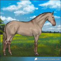 Horse Color:Liver Red Dun 