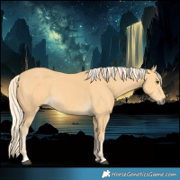 Horse Color:Palomino Rabicano 
