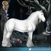 Horse Color:Gray Brown Dun Splash  and Gray Brown Dun Splash 