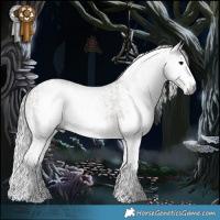 Horse Color:Gray Brown Dun Splash  and Gray Brown Dun Splash 