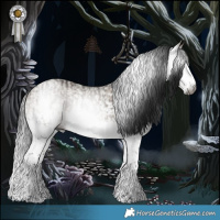 Horse Color:Gray Brown Dun Splash  and Gray Brown Dun Splash 