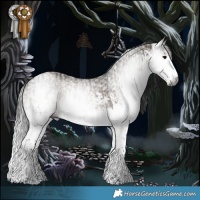 Horse Color:Gray Brown Dun Splash and Gray Brown Dun Splash