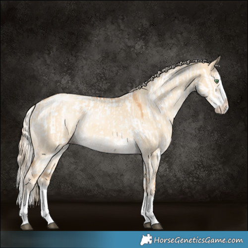 Horse Color:Silver Smoky Grullo Tobiano Near Fewspot  and Gold Cream Champagne Dun Sabino Splash 