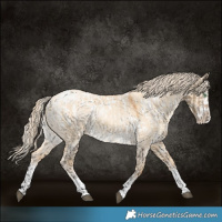 Horse Color:Silver Smoky Grullo Tobiano Appaloosa  and Gold Cream Champagne Dun Sabino Splash 