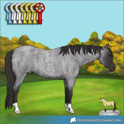 Horse Color:Smoky Blue Roan 