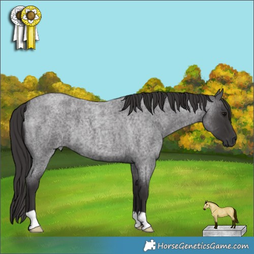 Horse Color:Smoky Blue Roan 