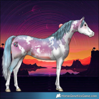 Horse Color:Painted Watercolor White Spotted Brown Onyx Sabino 