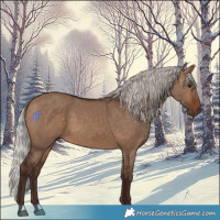 Horse Color:Silver Brown Dun