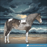 Horse Color:Silver Smoky Black Tobiano
