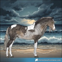 Horse Color:Silver Smoky Black Tobiano 