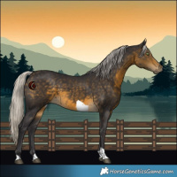 Horse Color:White Spotted Silver Buckskin Tobiano 