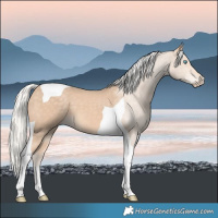 Horse Color:Silver Perlino Tobiano 