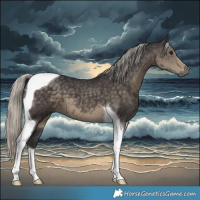 Horse Color:Silver Smoky Black Tobiano 