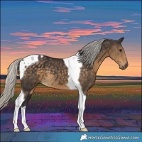 Horse Color:Silver Smoky Black Tobiano 