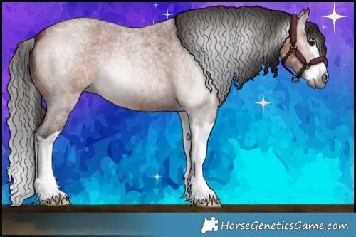Horse Color:Gray Bay Roan Splash 