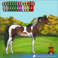 Horse Color:Brown Tobiano