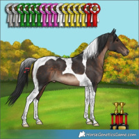 Horse Color:Brown Tobiano 