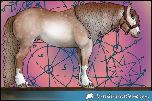 Horse Color:Gray Chestnut