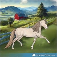 Horse Color:Perlino Dun 