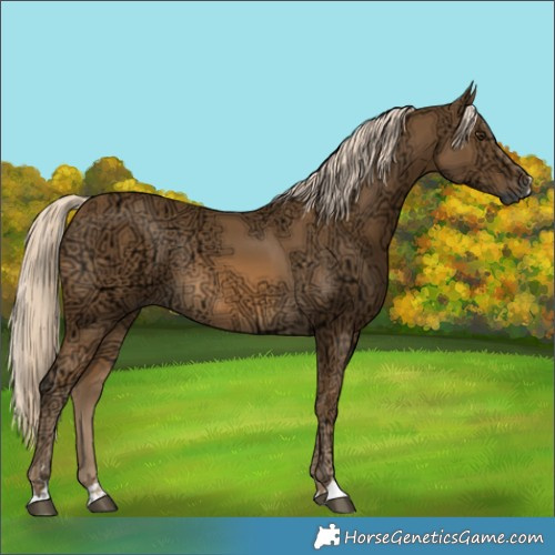 Horse Color:Chocolate Palomino Ice Rabicano 