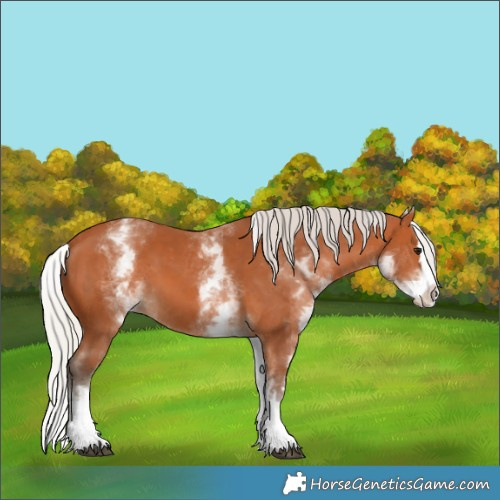 Horse Color:White Spotted Silver Bay Splash 