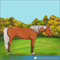 Horse Color:Silver Bay