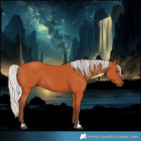 Horse Color:Silver Bay 