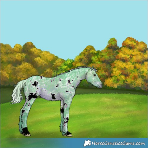 Horse Color:Watercolor White Spotted Silver Brown Ice 